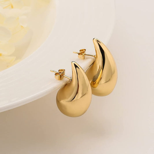 BOTTEGA Earrings